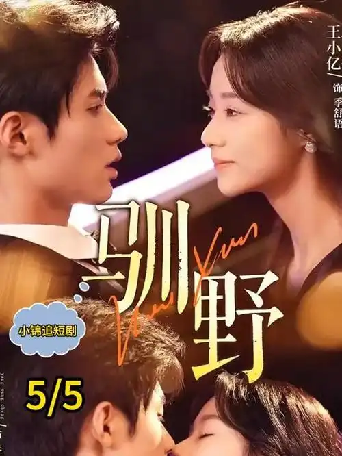 午夜迷情 电视剧 2026